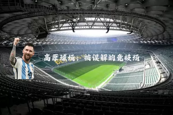 高原球场:被误解的竞技场